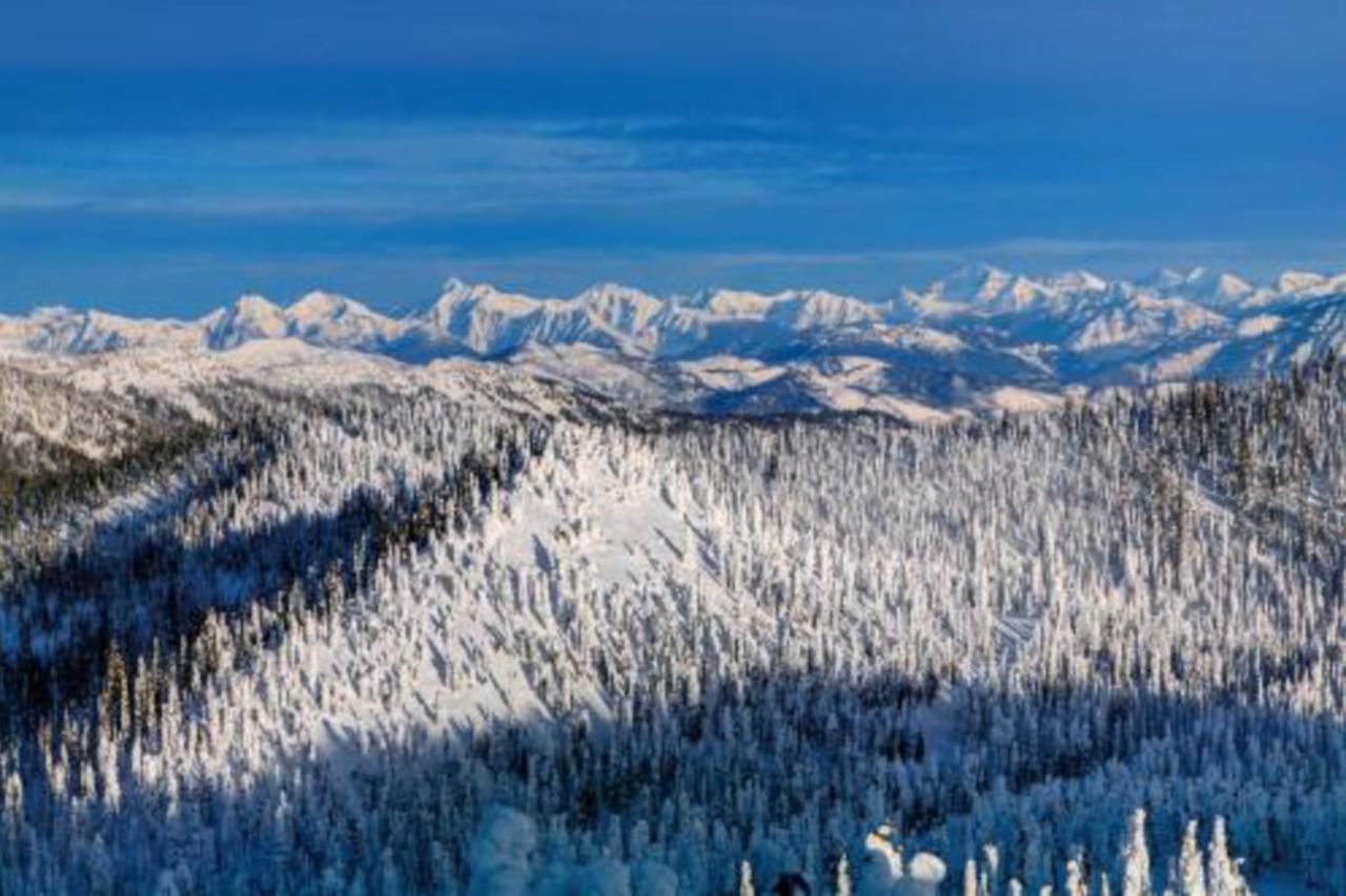 Wooded Dreams Apartment Whitefish Luaran gambar