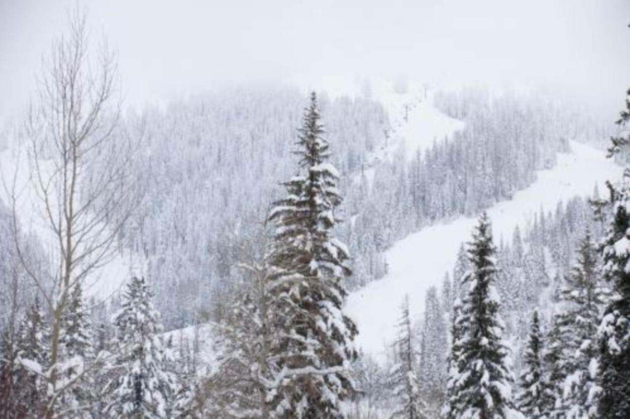 Wooded Dreams Apartment Whitefish Luaran gambar